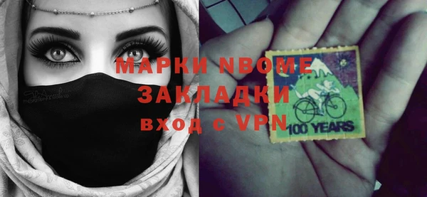 шишки Бикин