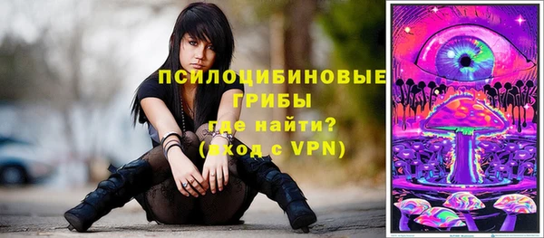 тгк Богданович