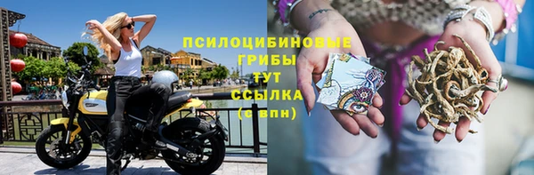 тгк Богданович