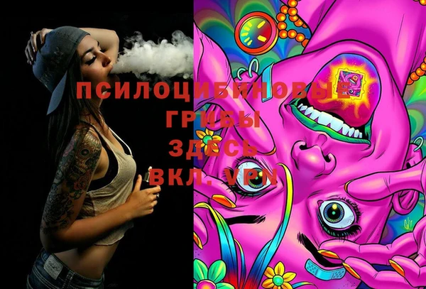 тгк Богданович