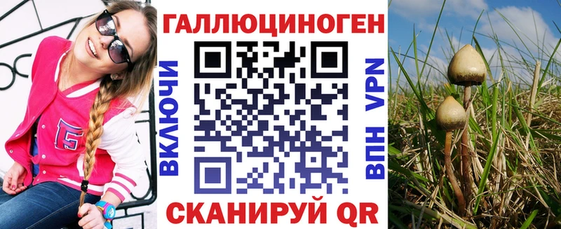 Псилоцибиновые грибы Psilocybine cubensis  Горно-Алтайск 